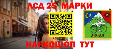 СК Сосновый Бор