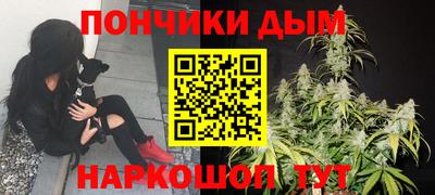 гидропоника Краснознаменск