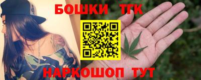 СК Сосновый Бор