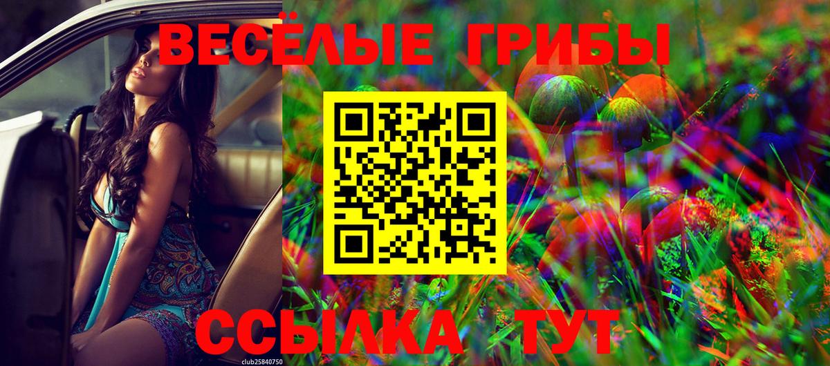 Псилоцибиновые грибы мухоморы Красногорск